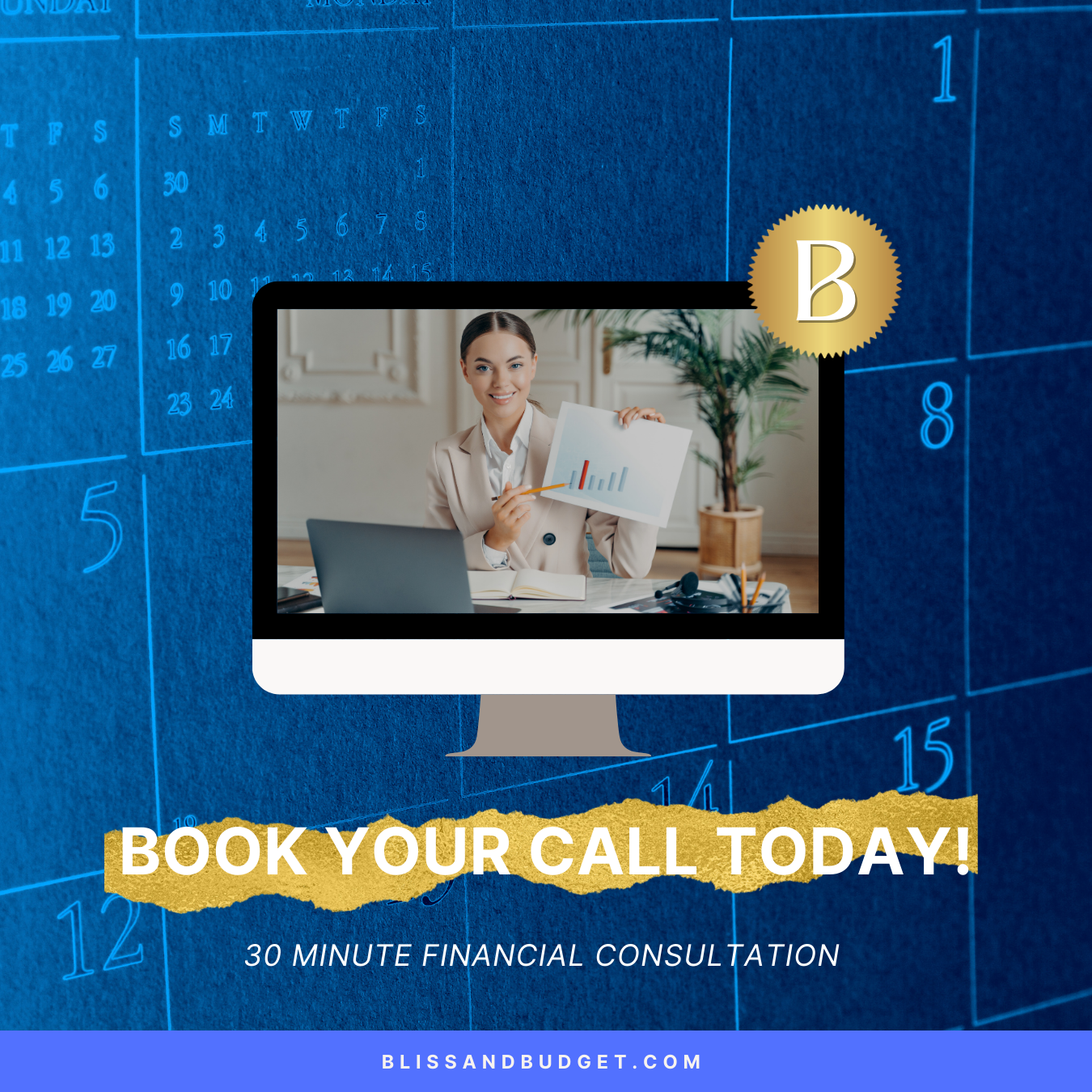 30 Minute Financial Consultation Call